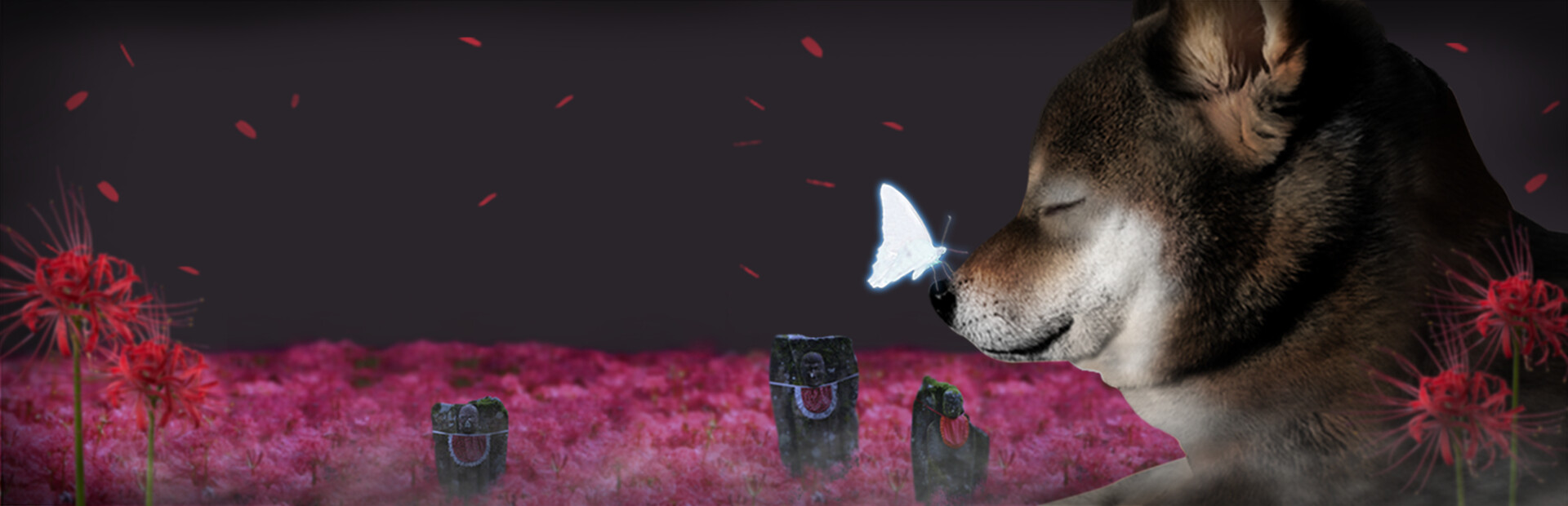 Tsugunohi -Pocky dog’s adventure-