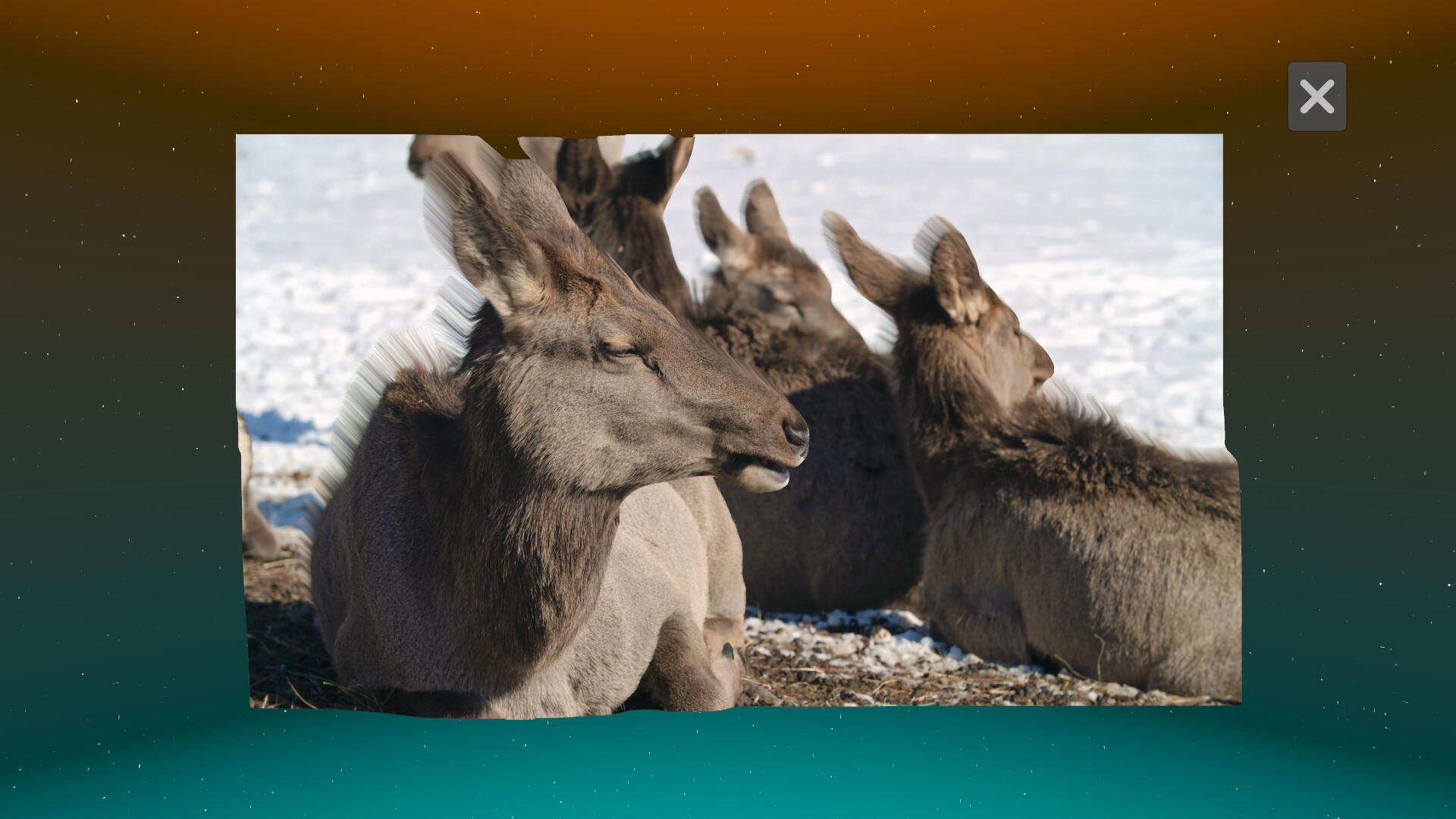 Deep Desktop screenshot screenshot 1