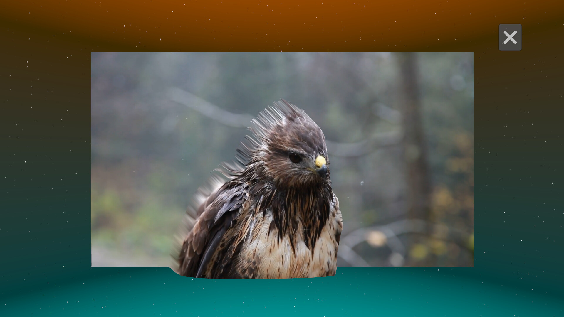 Deep Desktop screenshot screenshot 2