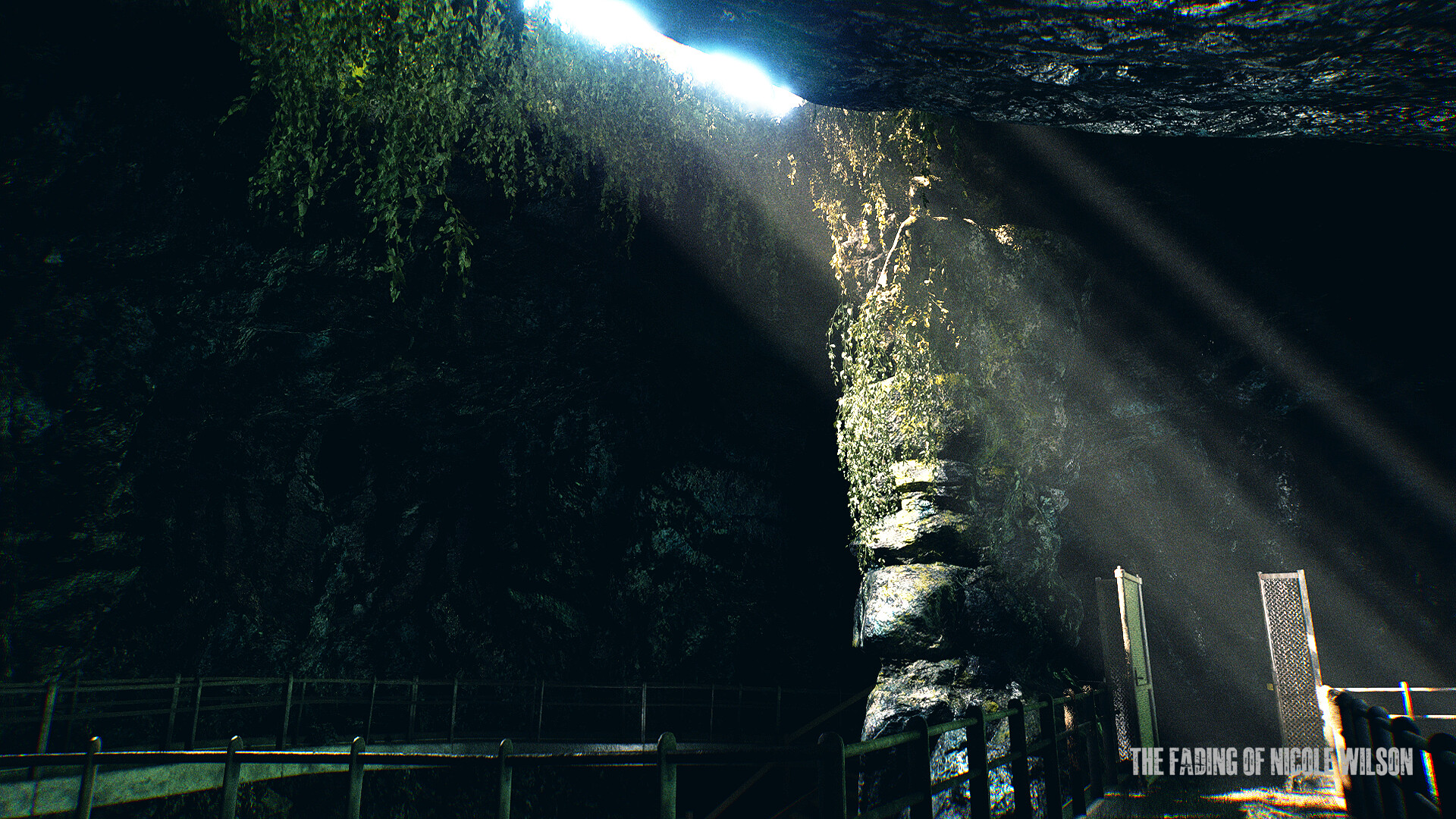 The Fading of Nicole Wilson screenshot #2