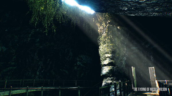 The Fading of Nicole Wilson screenshot 2