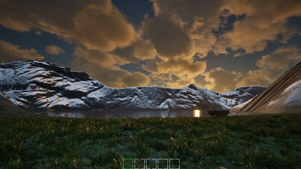 Mushroom Selection 2 screenshot 1