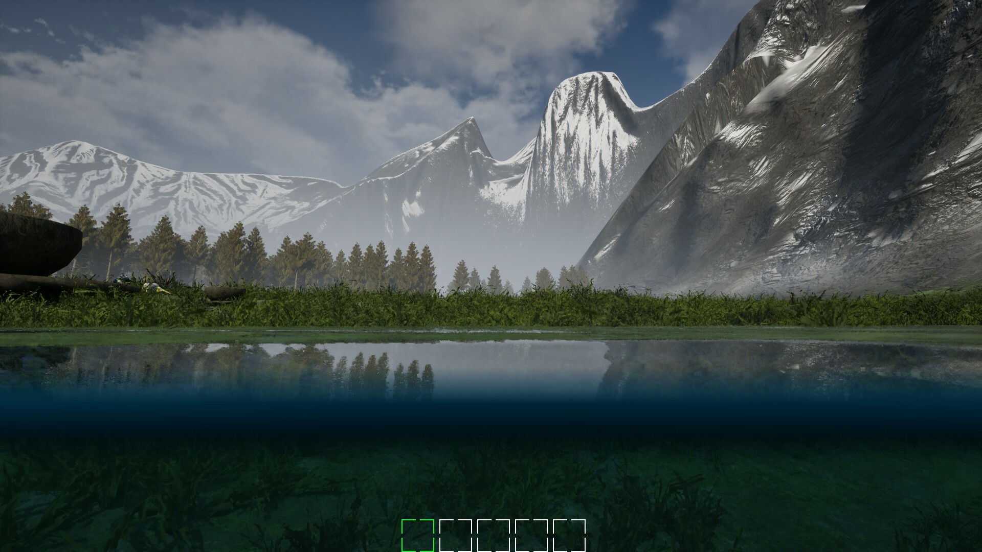 Mushroom Selection 2 screenshot #2