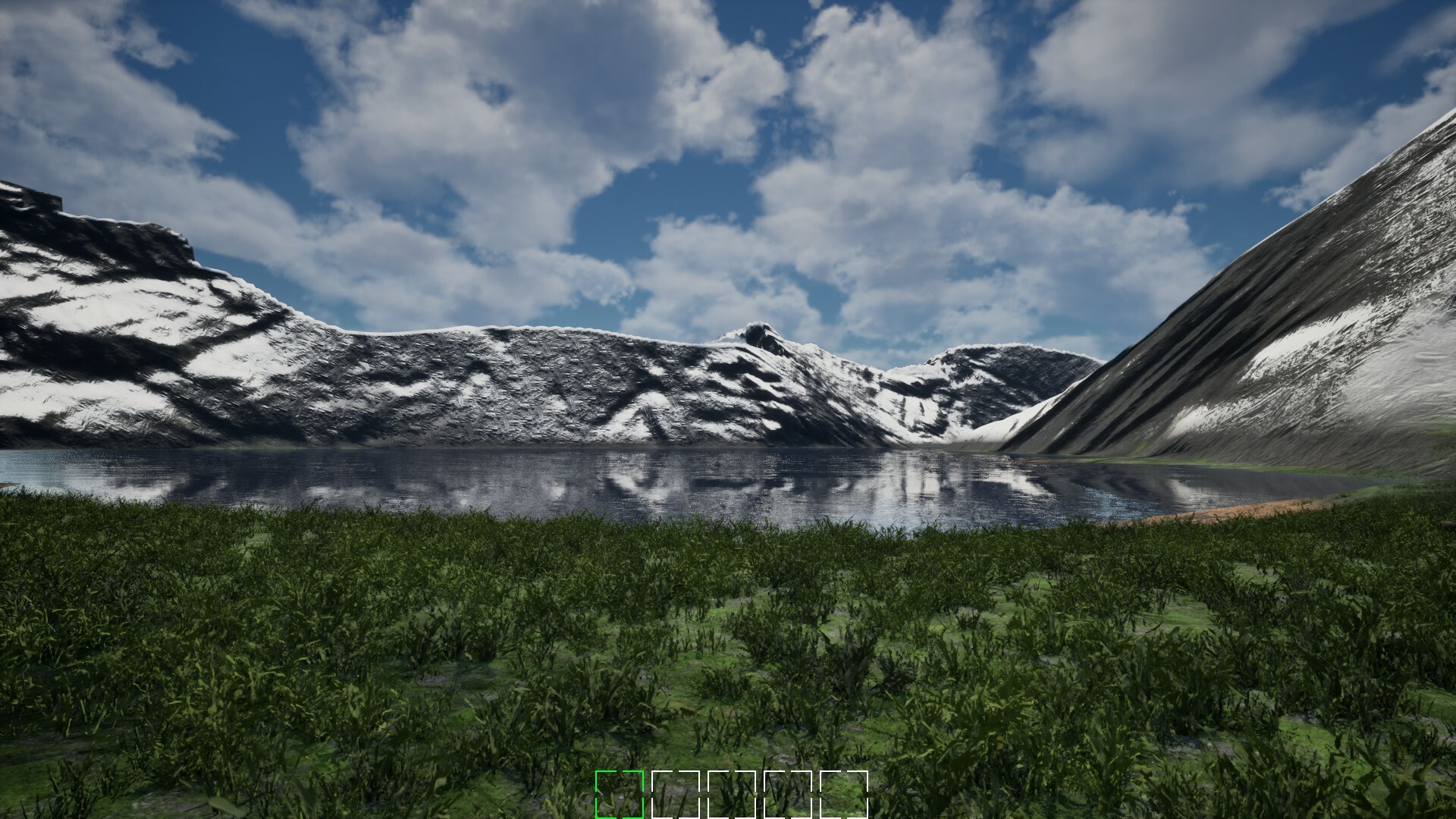 Mushroom Selection 2 screenshot #5