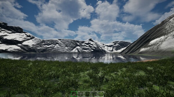 Mushroom Selection 2 screenshot 5