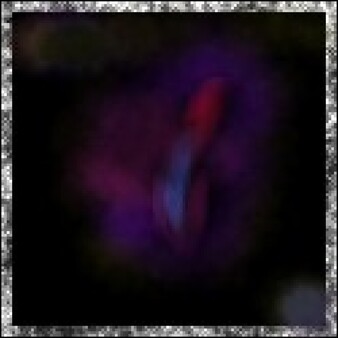 Formilion Soundtrack screenshot 2