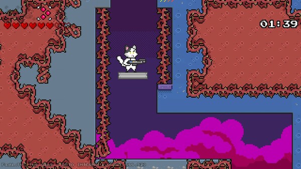 Fadin's Vacation in the Parallel Kingdom.