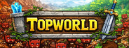 Capsule media