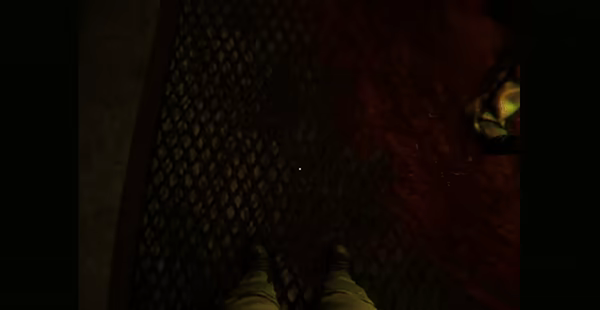 Zooparasite video 3