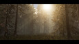 Screenshot #1
