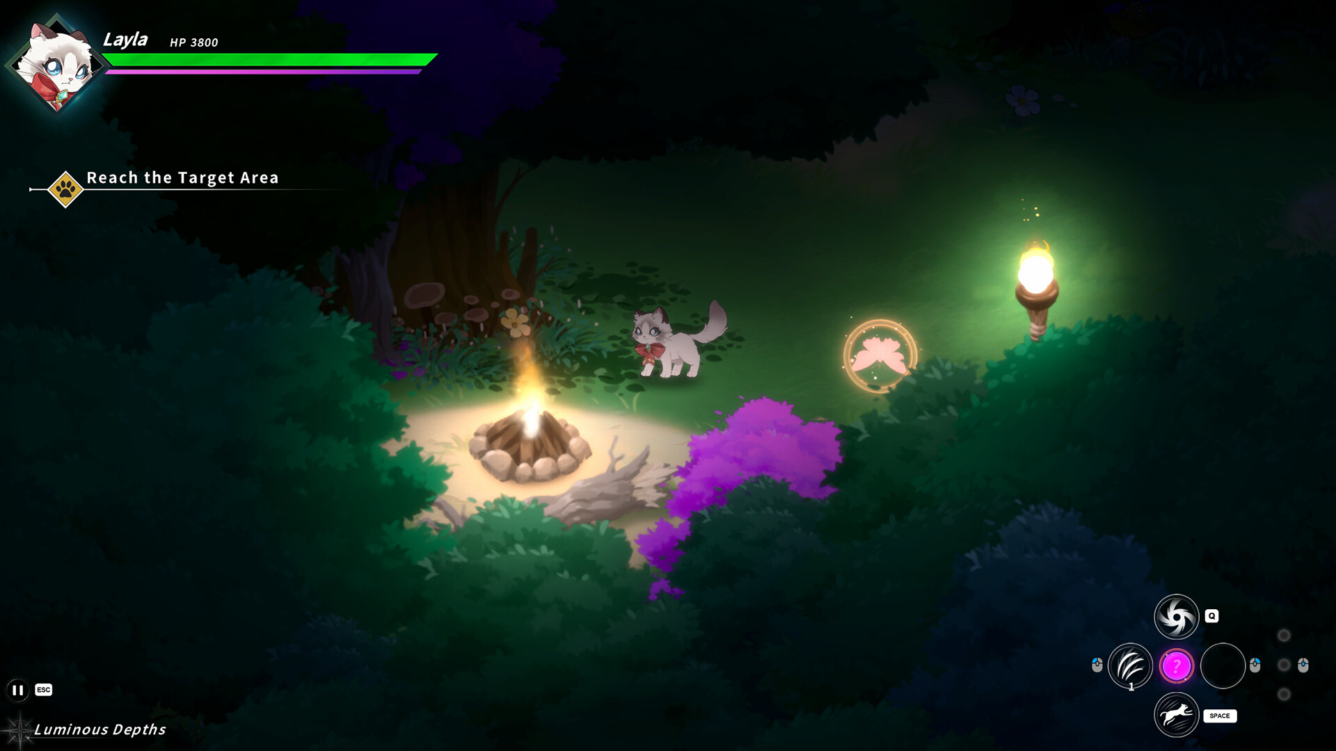Sleepy Cat