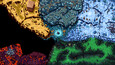 Screenshot #7