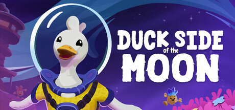 Duck Side of the Moon