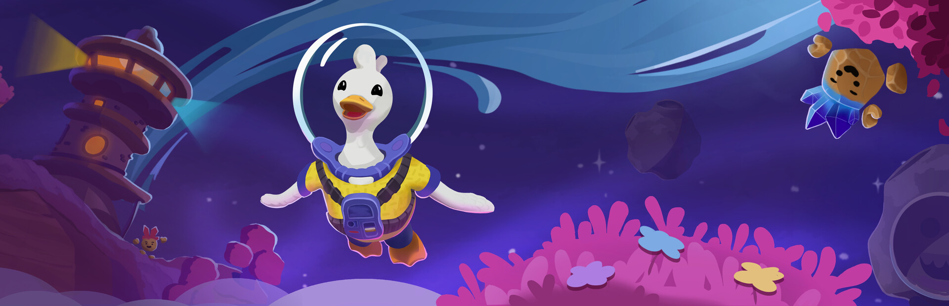 Duck Side of the Moon