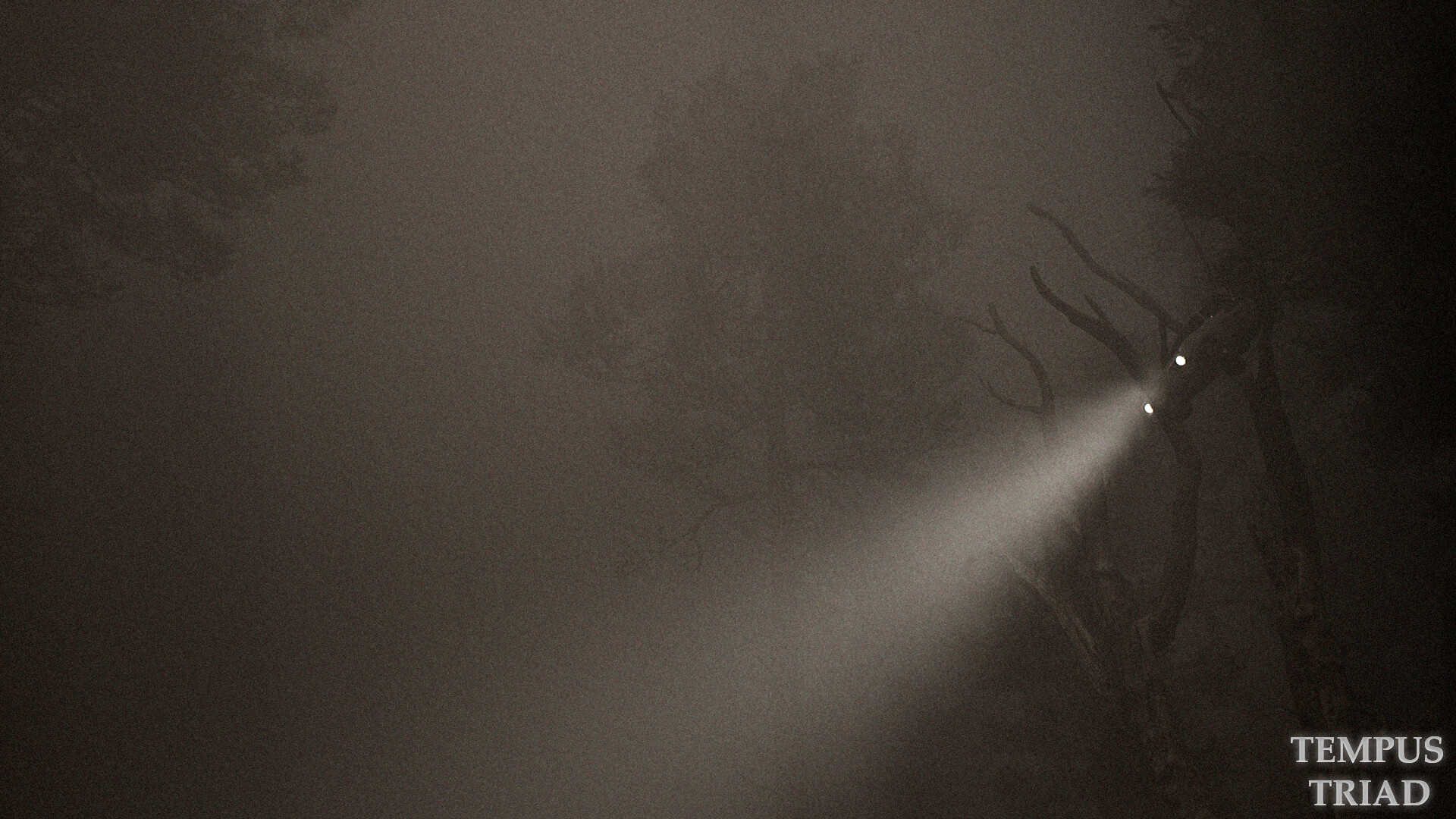 Tempus Triad screenshot #12
