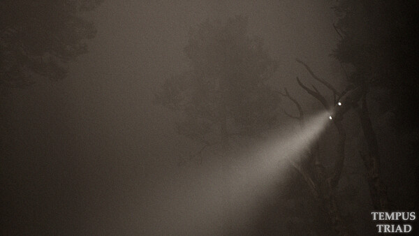 Tempus Triad screenshot 12