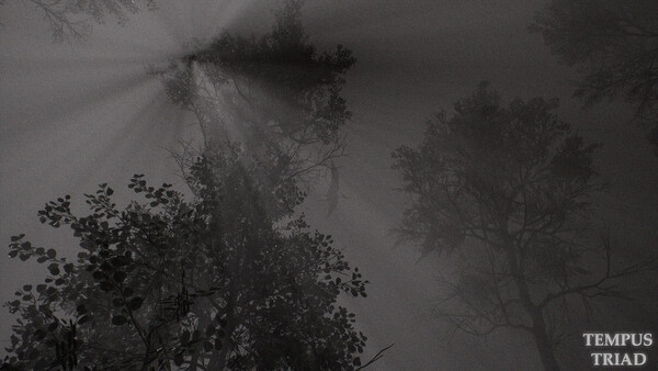 Tempus Triad screenshot 14