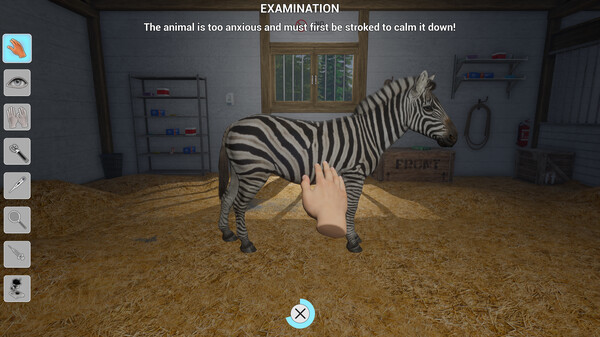 Скриншот из My Life: Zoo Vet