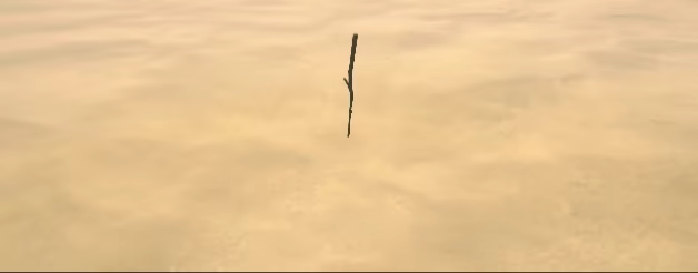 Shore Doodle video 1