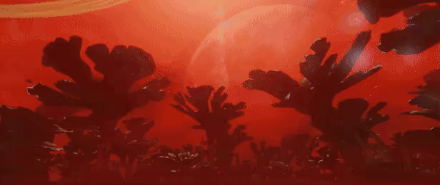 Far Horizon video 4