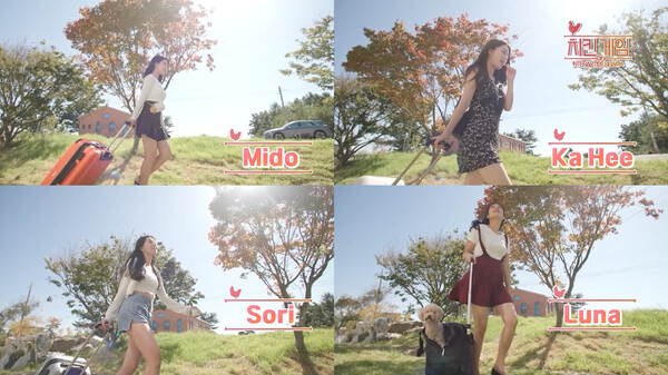 Chicken Game screenshot 2