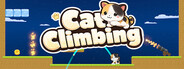 Cat Climbing