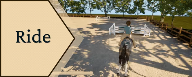 EQUIRE video 1