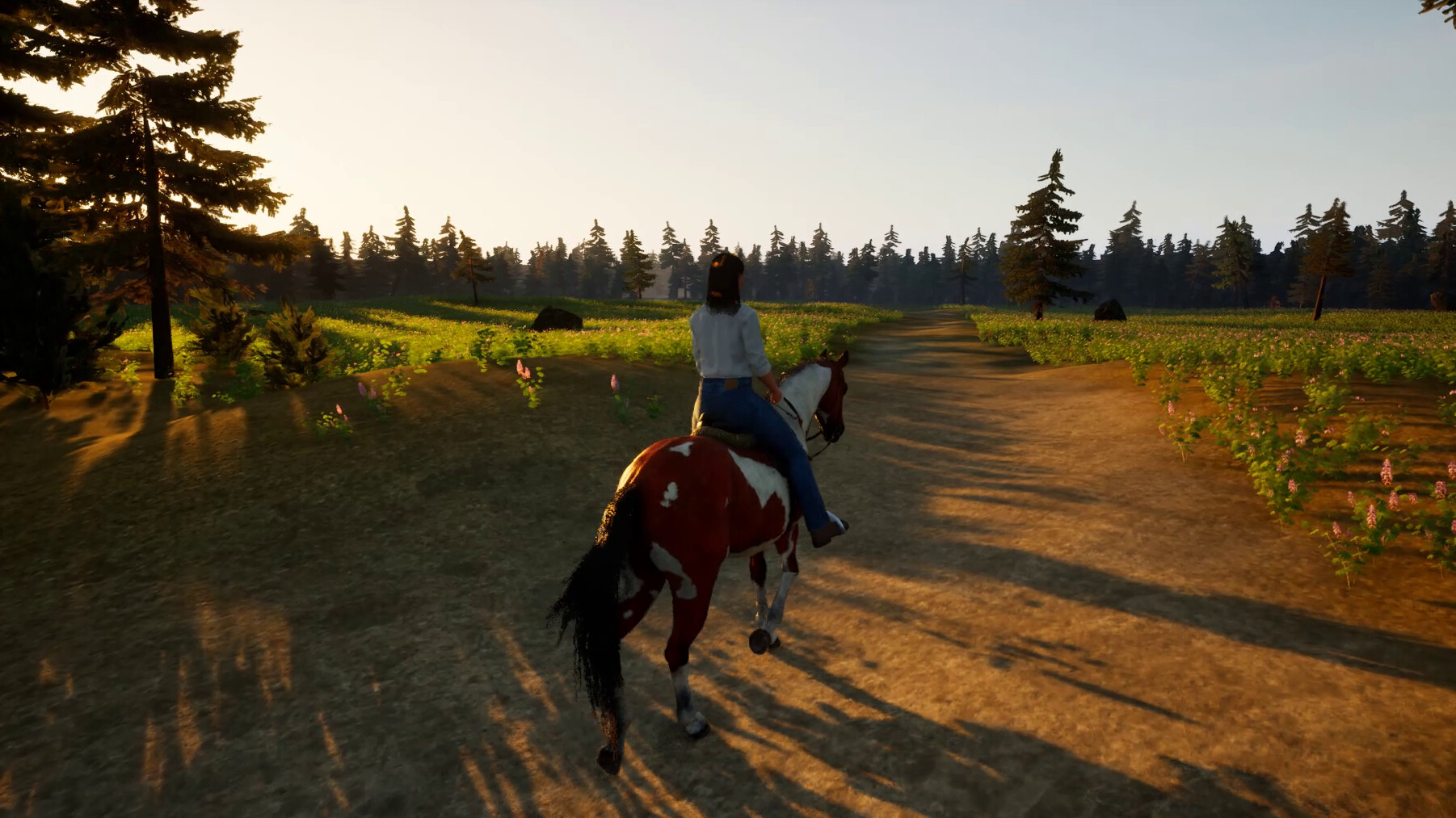 EQUIRE screenshot #1