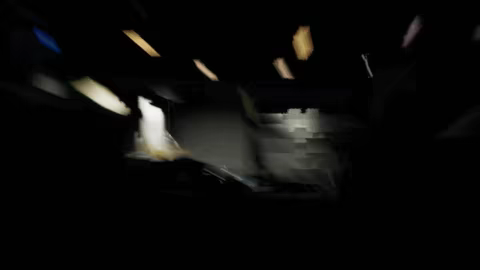 Whiskers Wonderland video 1
