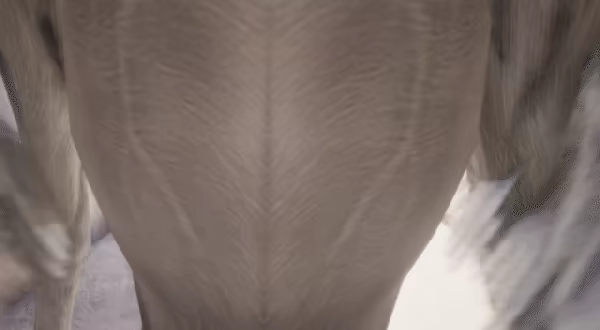 I dont Fall video 1