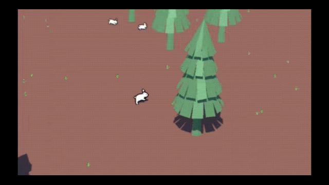 Wild Harmony video 2