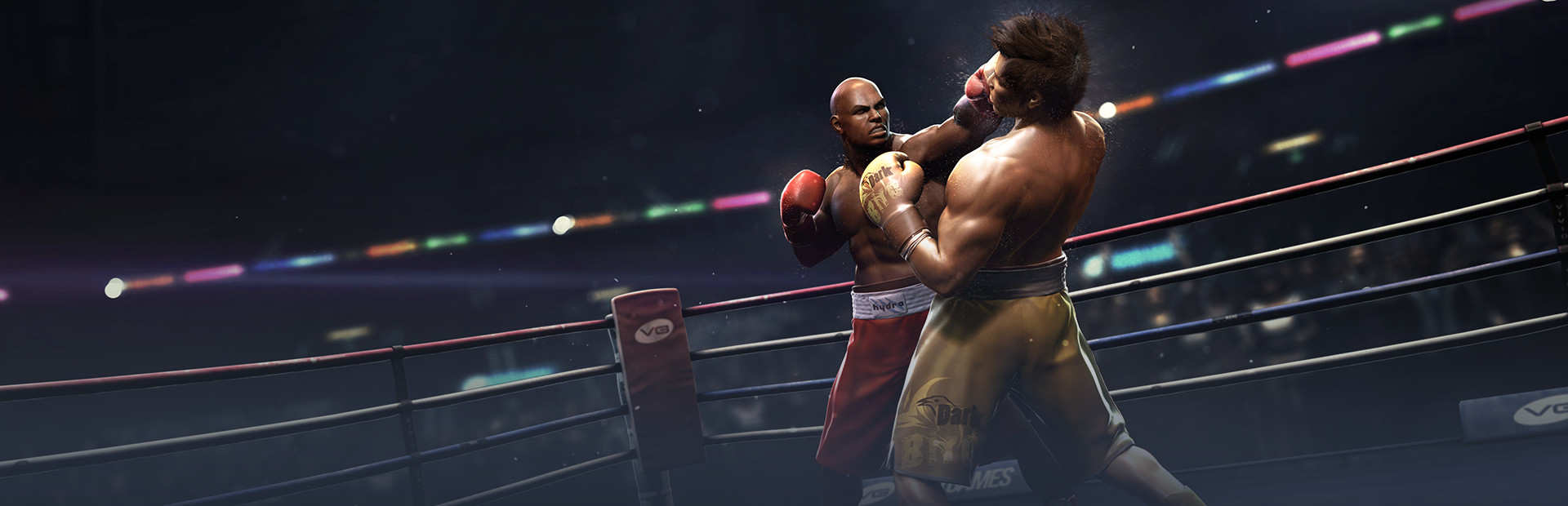Real Boxing™