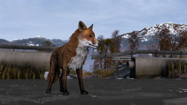 screenshot7