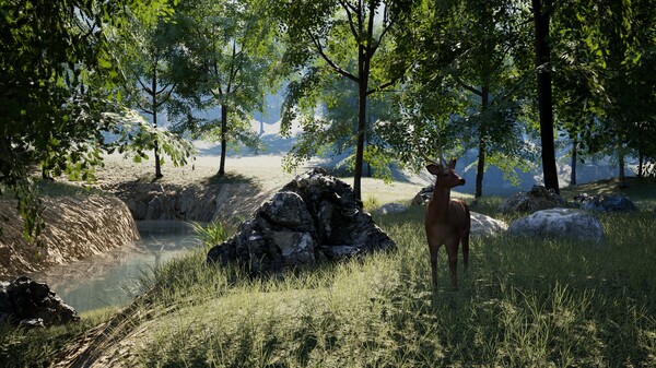 Relaxing Simulator Demo
