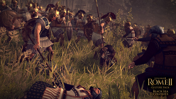 Total War: ROME II -  Black Sea Colonies Culture Pack