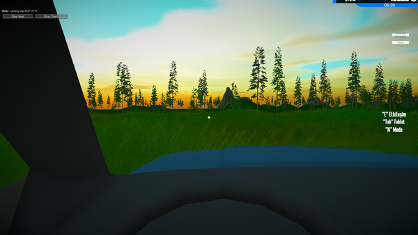 Illegal Simulator Screenshot