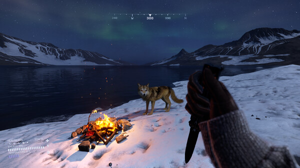 POLYARIS Screenshot