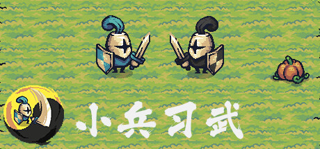 小兵习武