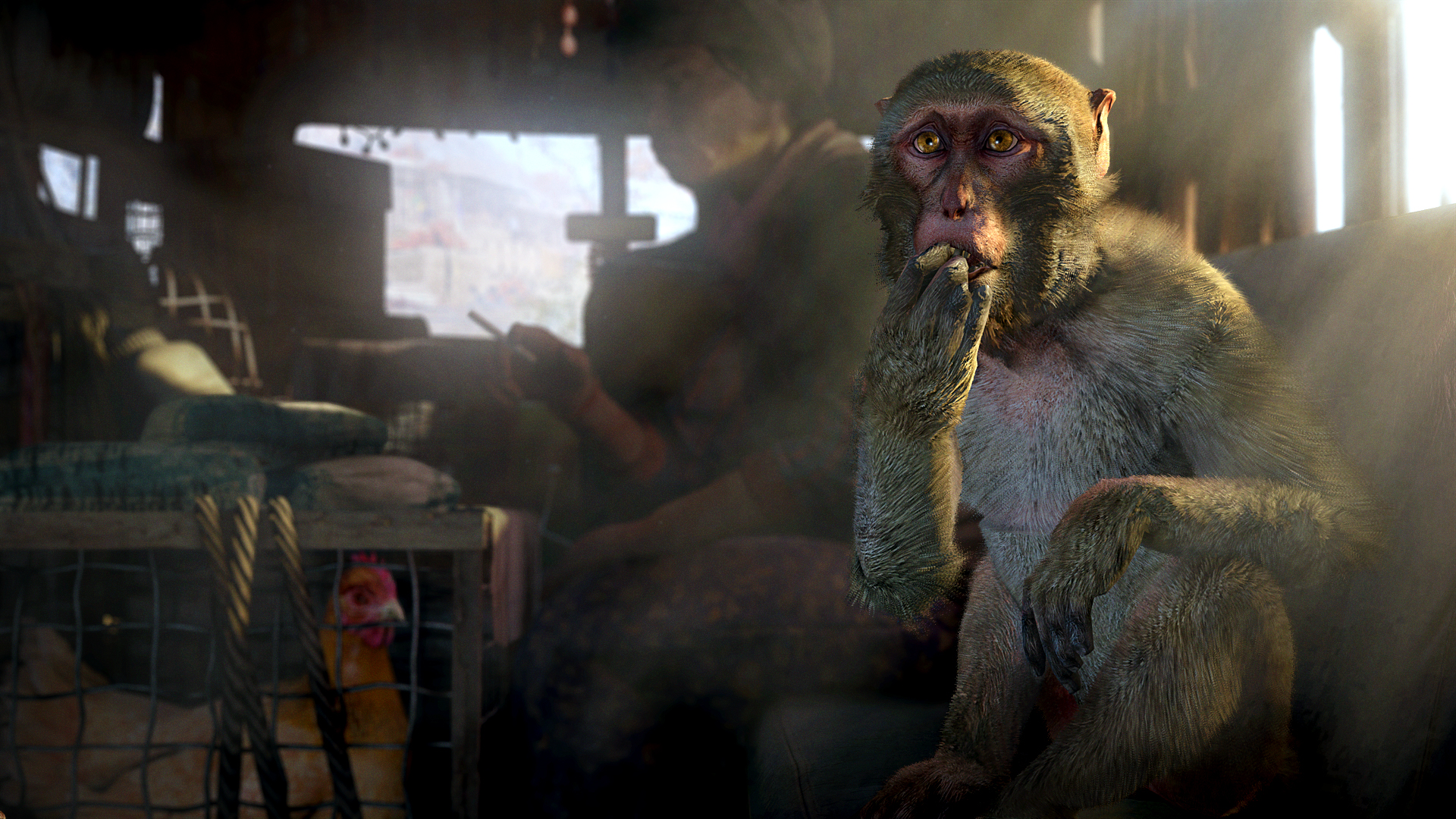孤岛惊魂4/Far Cry 4 截图