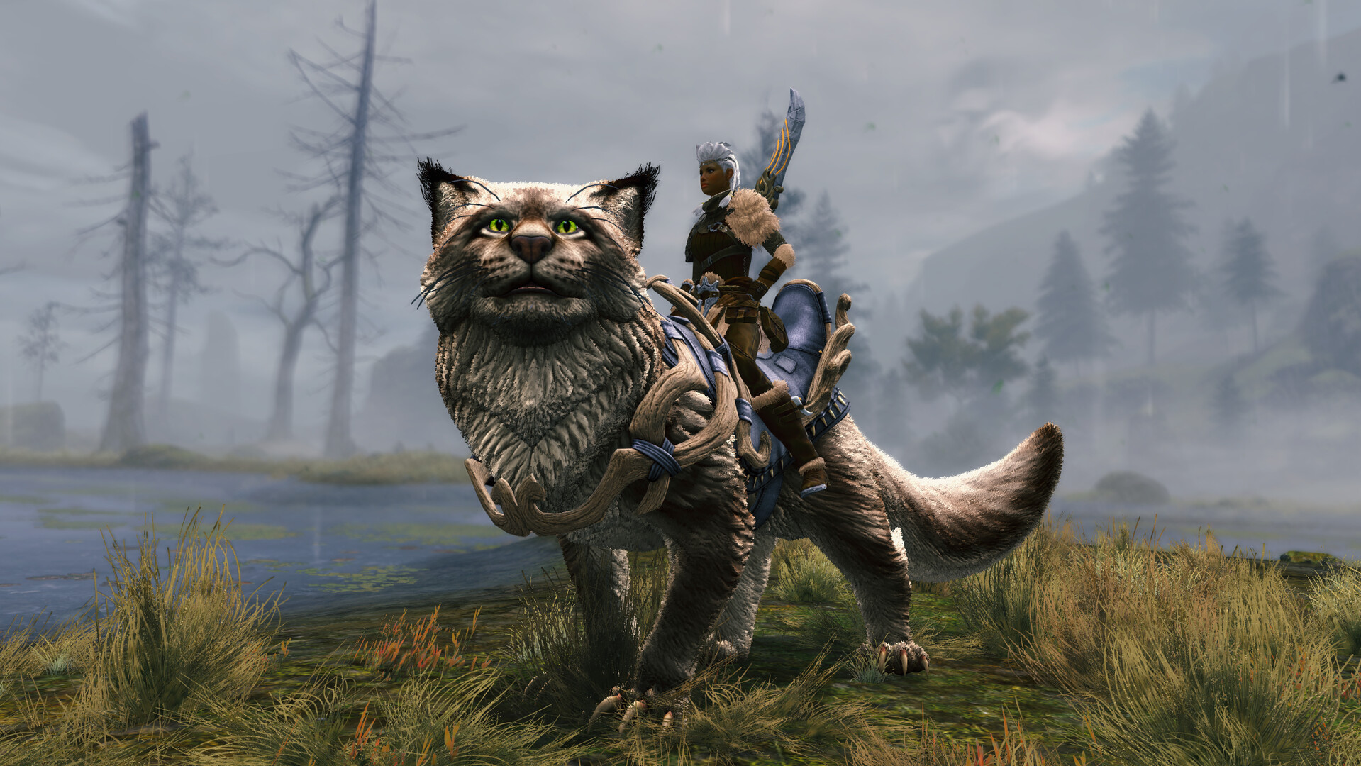 Guild Wars 2: Janthir Wilds DLC Digital Download CD Key