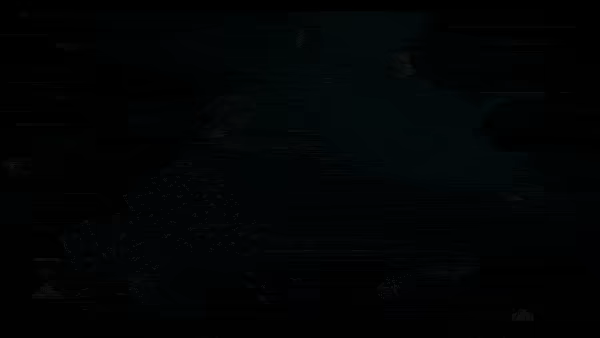 Abyssal video 3