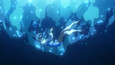 Screenshot #5