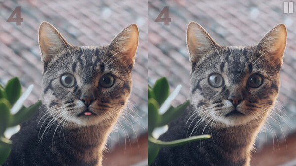 Art Diff screenshot 4