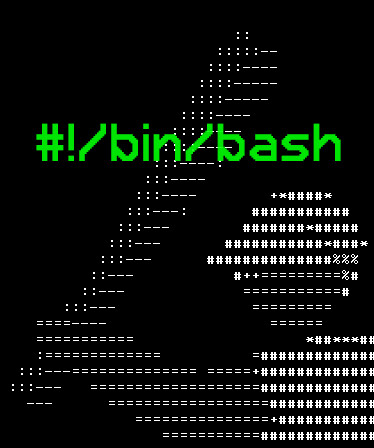 #!/bin/bash