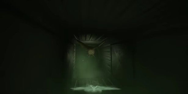 Sparrow video 2