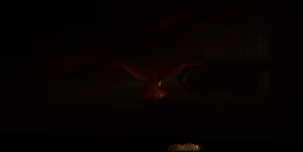 Sparrow video 4