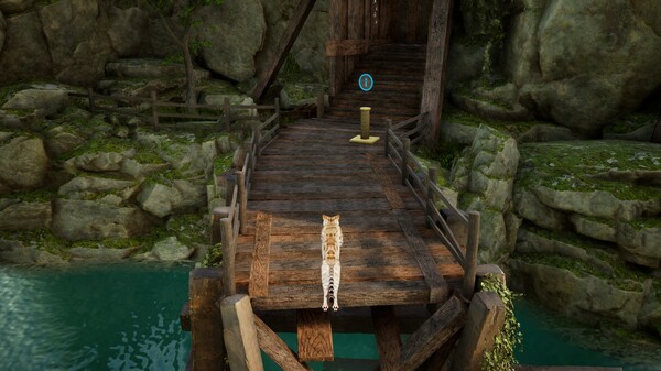 Curiosity screenshot 5