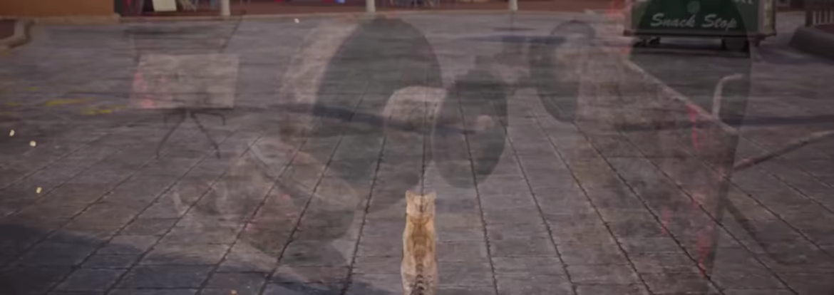 Curiosity video 1