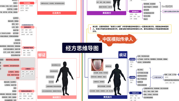 中医模拟传承人.