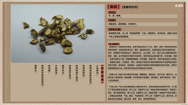 中医模拟传承人.